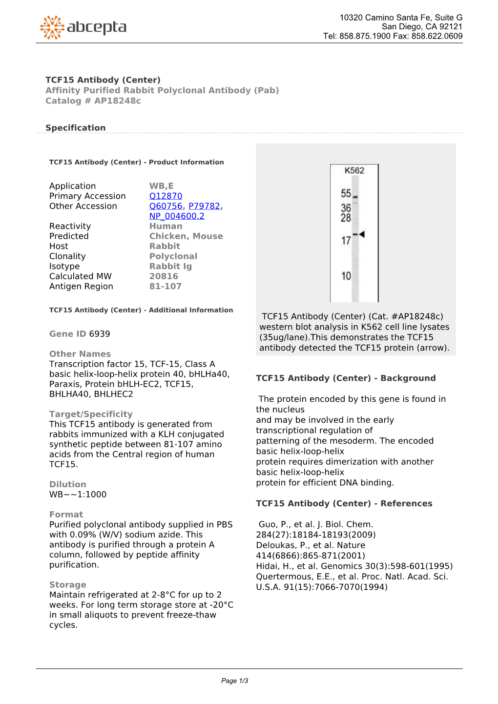 TCF15 Antibody (Center) Affinity Purified Rabbit Polyclonal Antibody (Pab) Catalog # Ap18248c