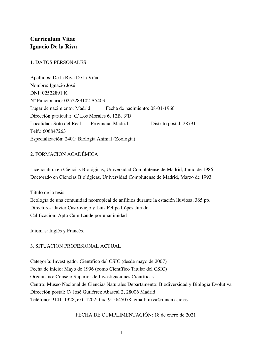 Curriculum Vitae Ignacio De La Riva