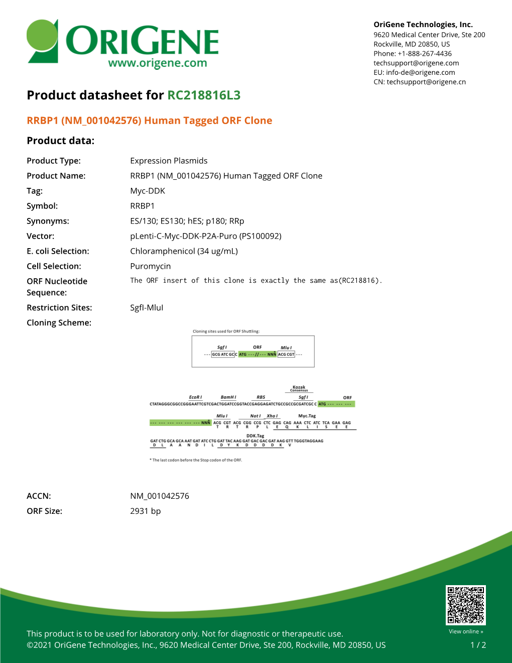 RRBP1 (NM 001042576) Human Tagged ORF Clone Product Data