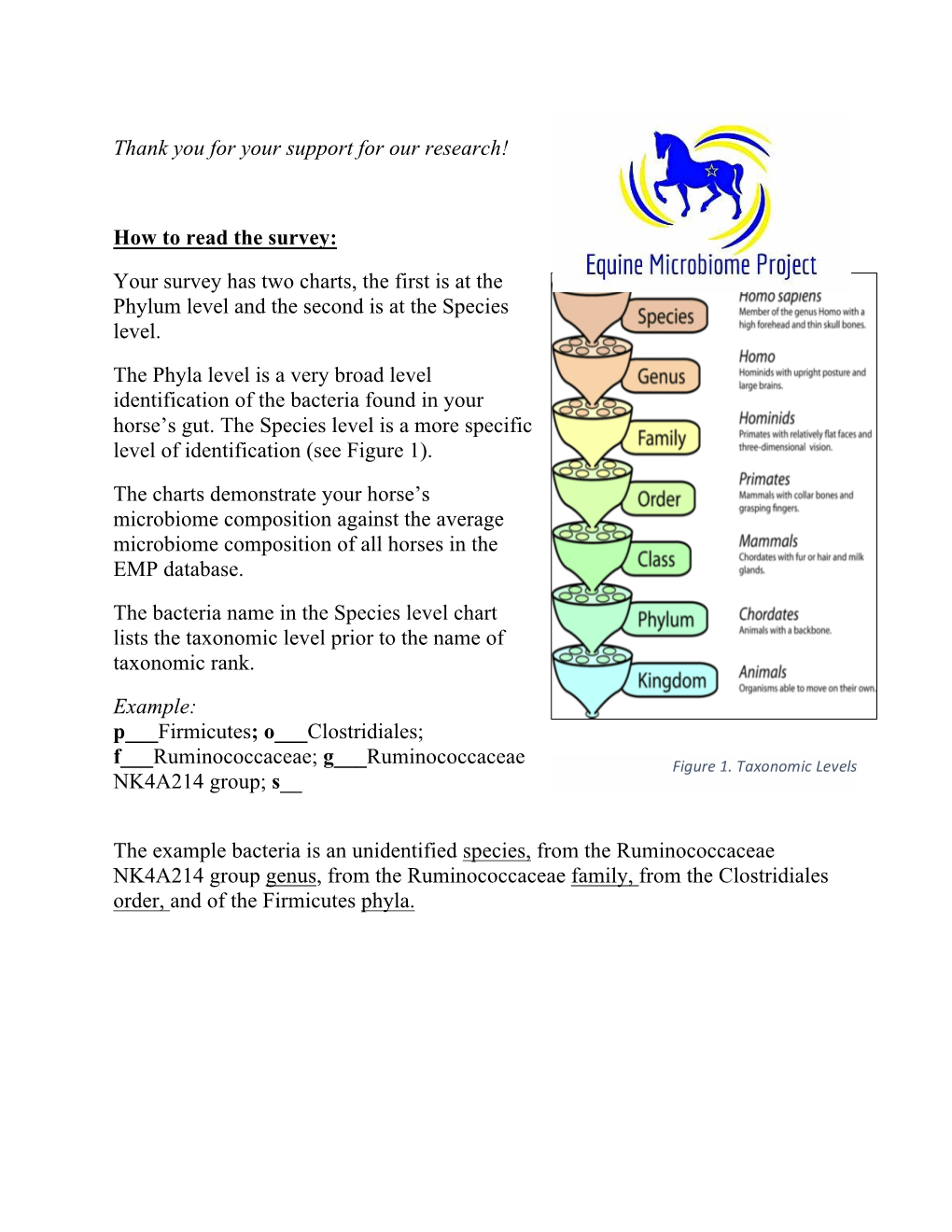 Horse Sample #3