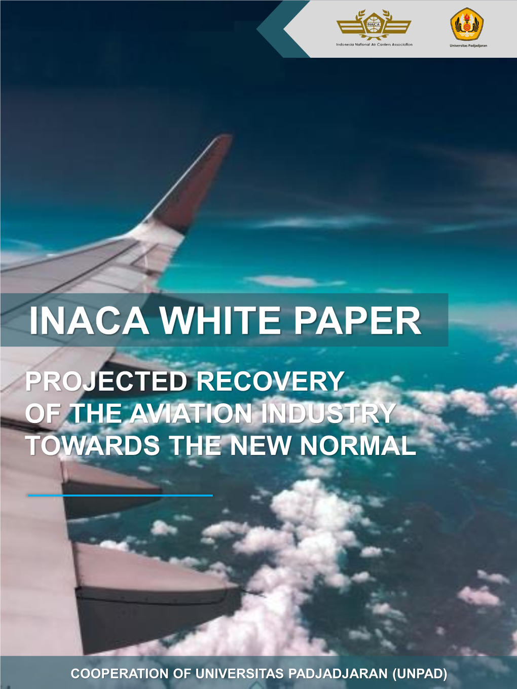 Inaca White Paper