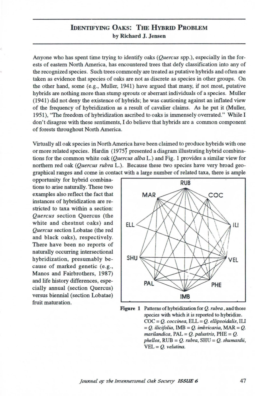 IDENTIFYING OAKS: the HYBRID PROBLEM by Richard J