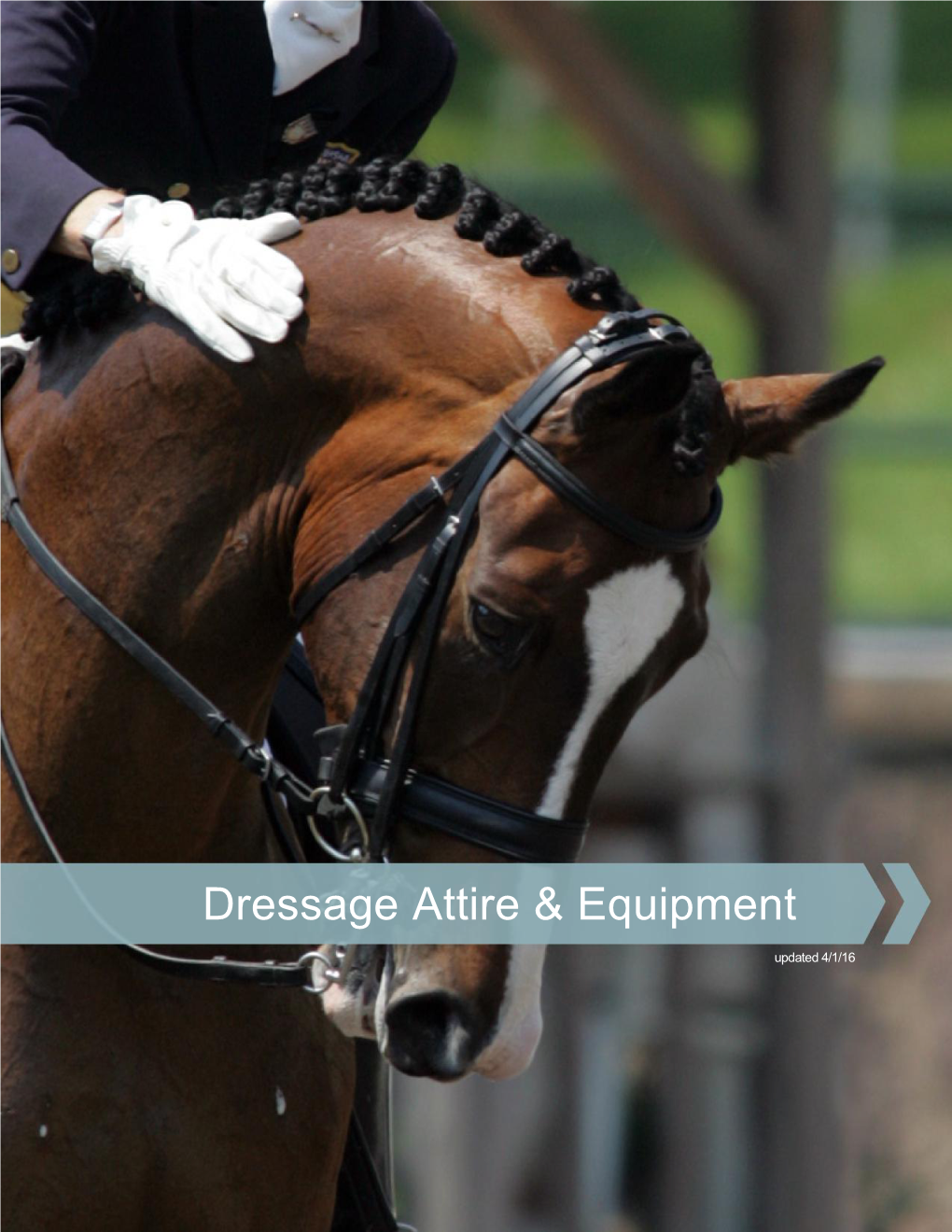 Dressage Attire & Equipment