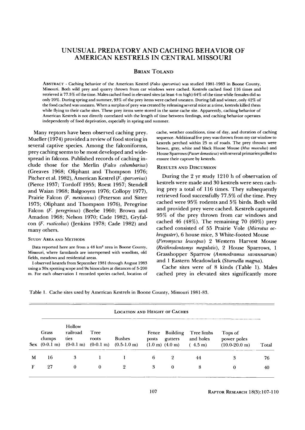 Unusual Predatory and Caching Behavior of American Kestrels in Central Missouri