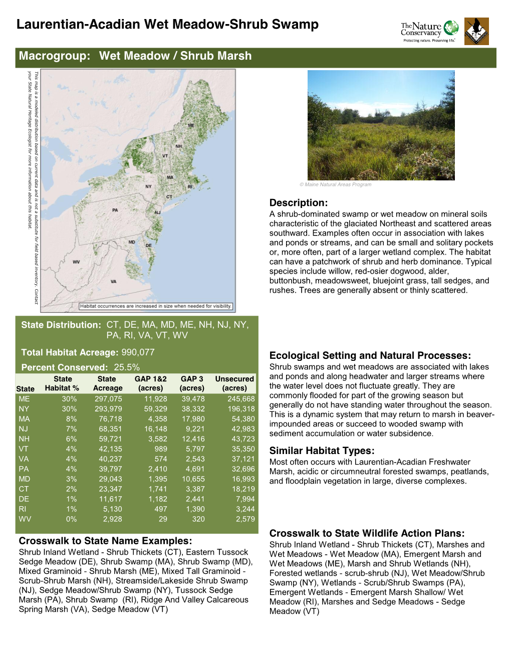 Laurentian-Acadian Wet Meadow-Shrub Swamp