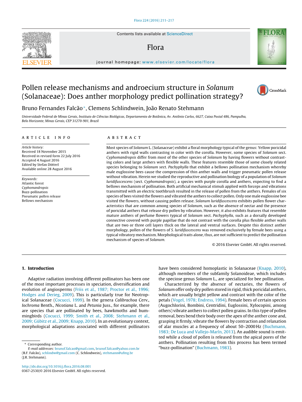 Pollen Release Mechanisms and Androecium Structure in Solanum