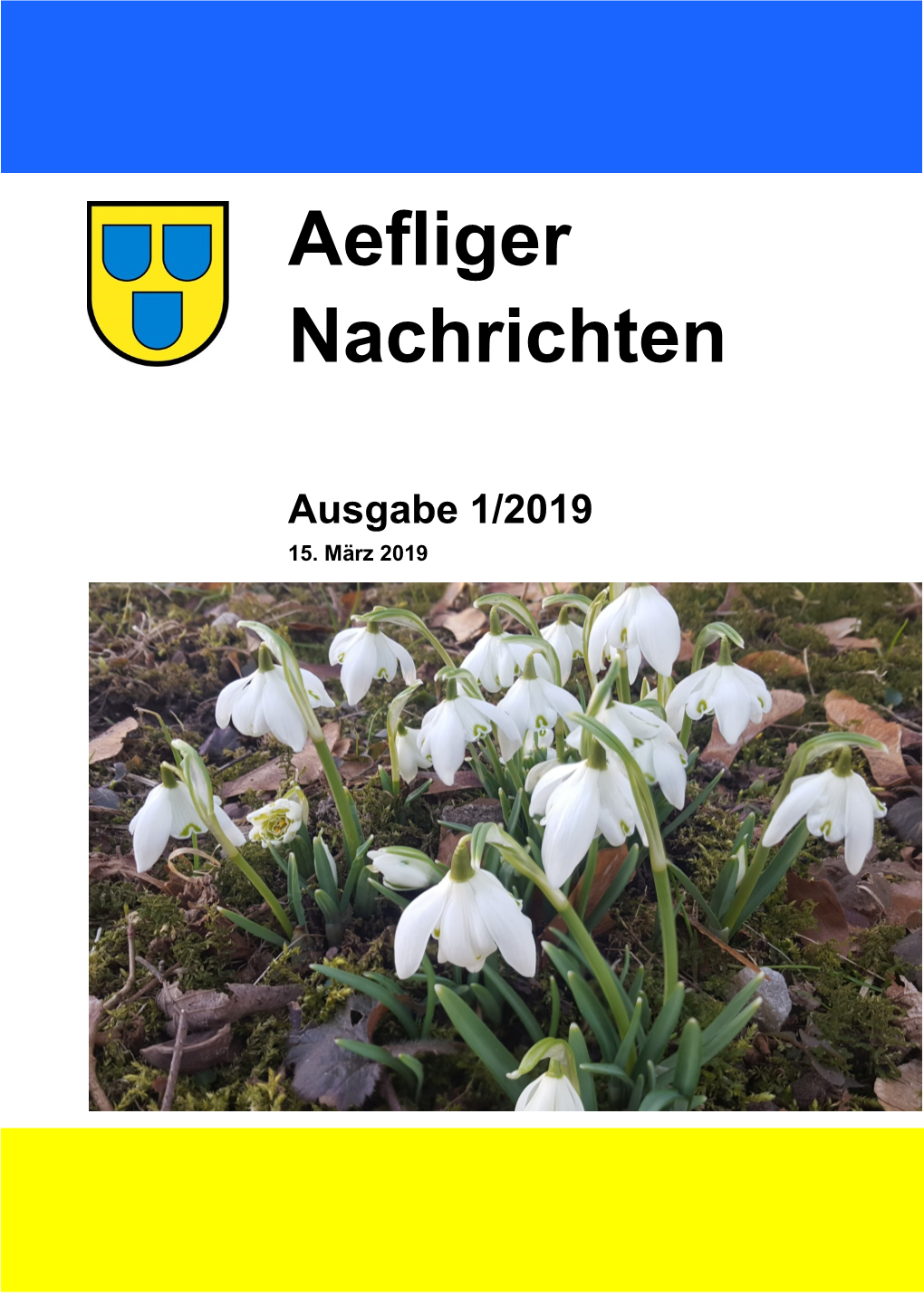 Ausgabe 1/2019 15