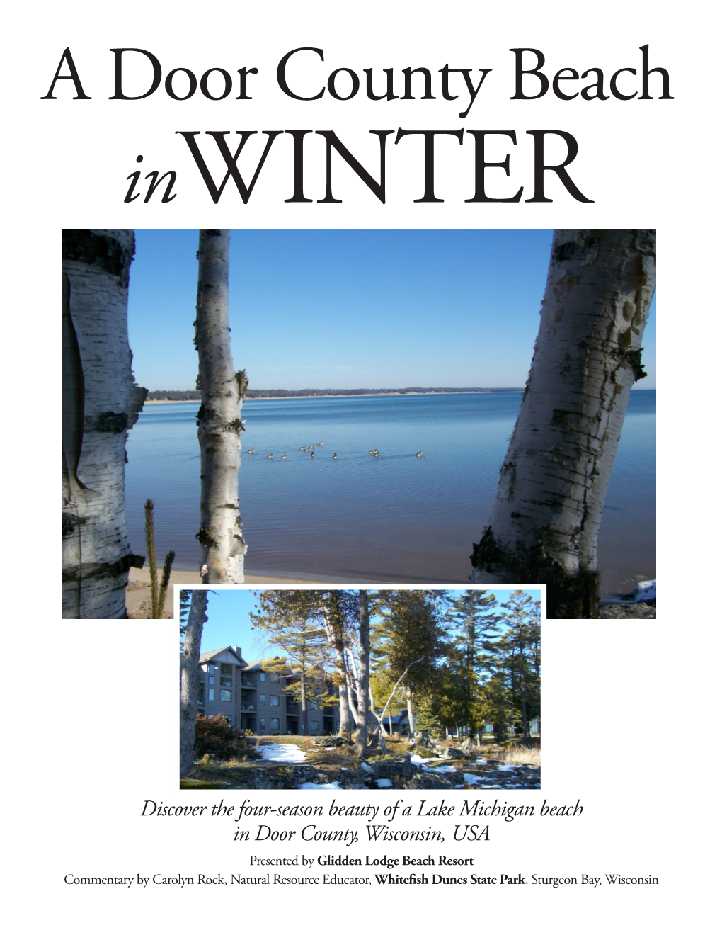 A Door County Beach in Winter