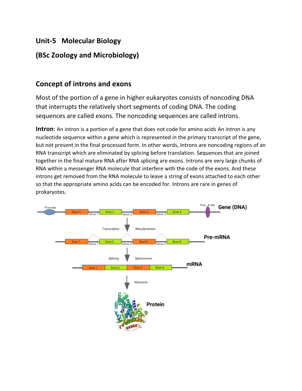 (Bsc Zoology and Microbiology) Concept of Introns and Exons