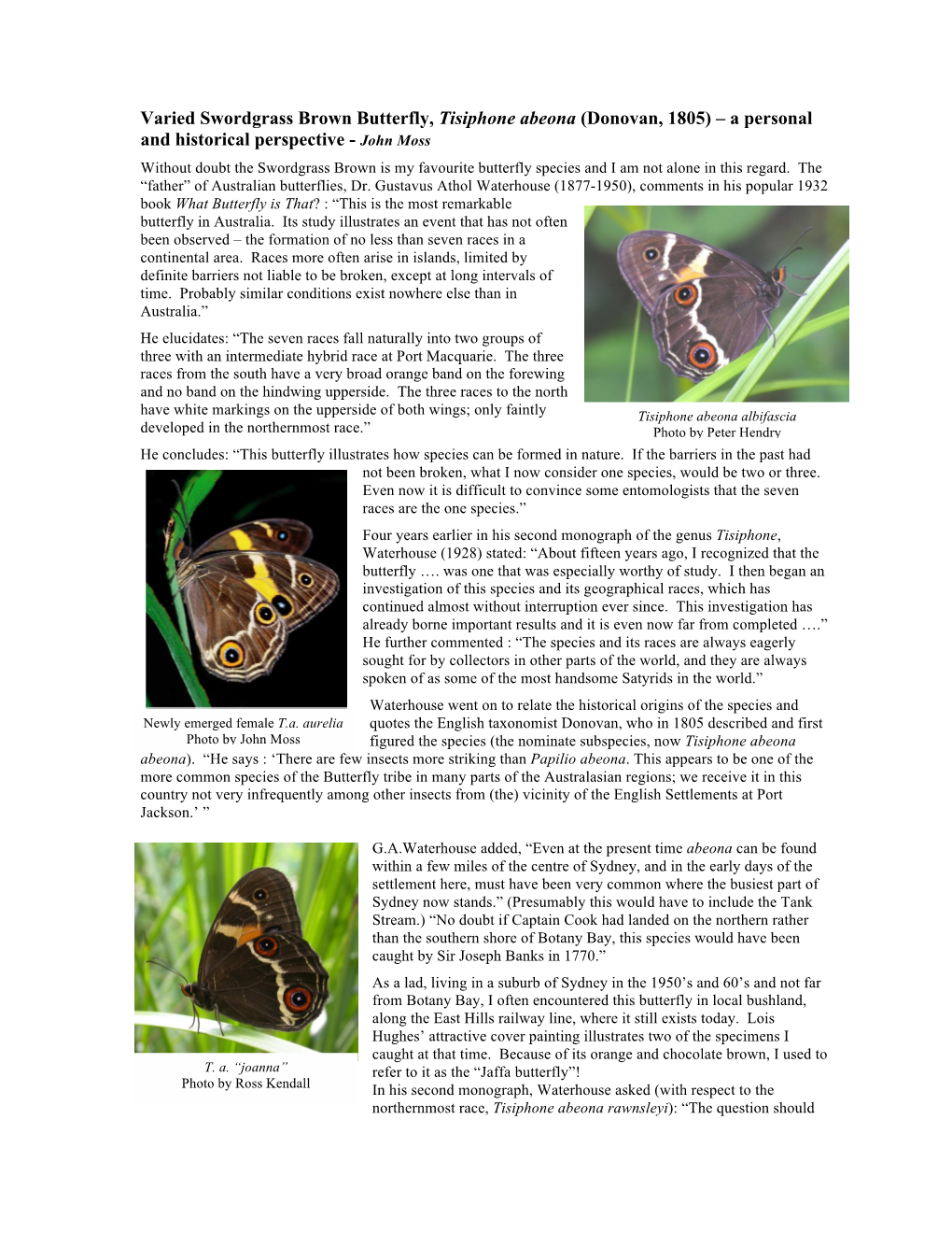 Varied Swordgrass Brown Butterfly, Tisiphone Abeona (Donovan, 1805) – a Personal and Historical Perspective - John Moss