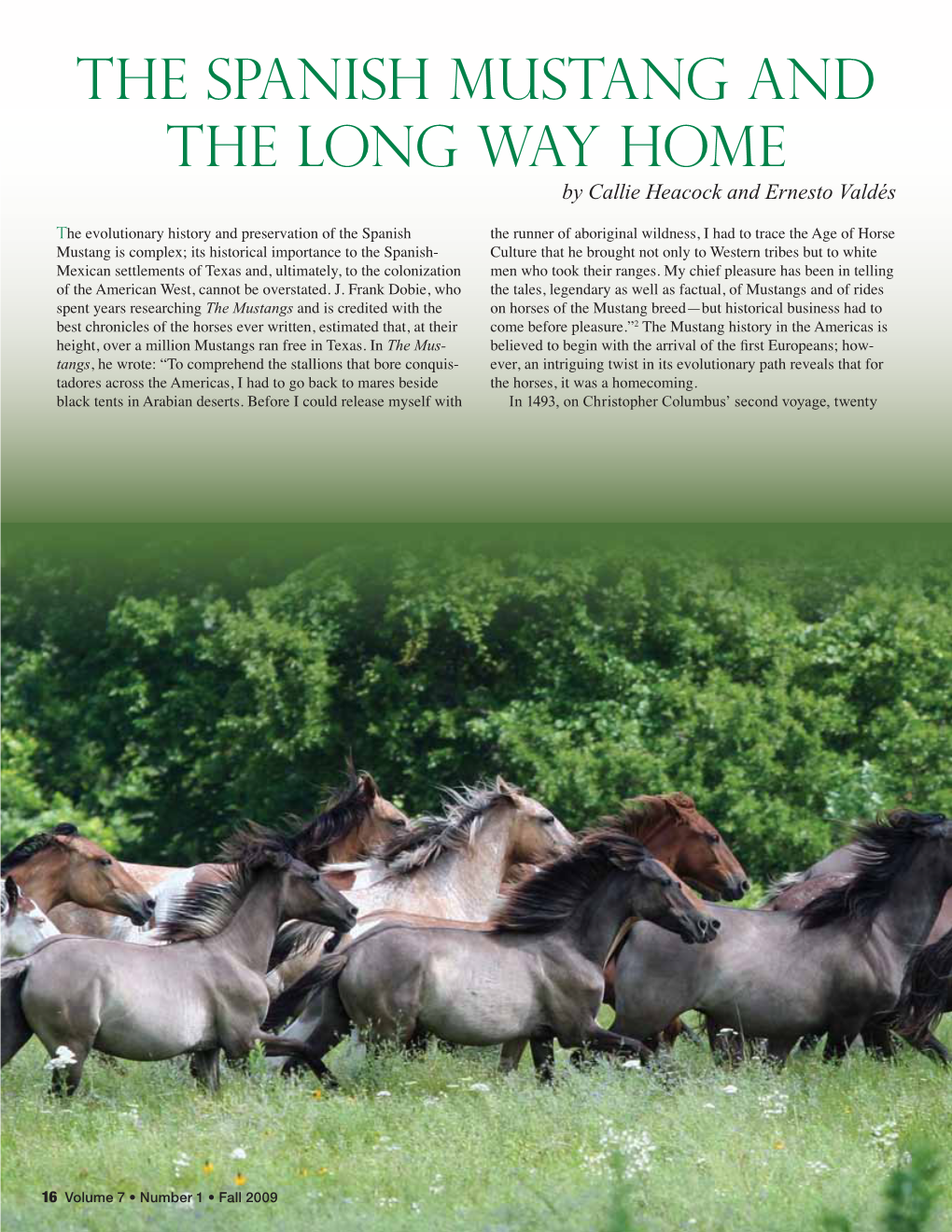 The Spanish Mustang and the Long Way Home by Callie Heacock and Ernesto Valdés