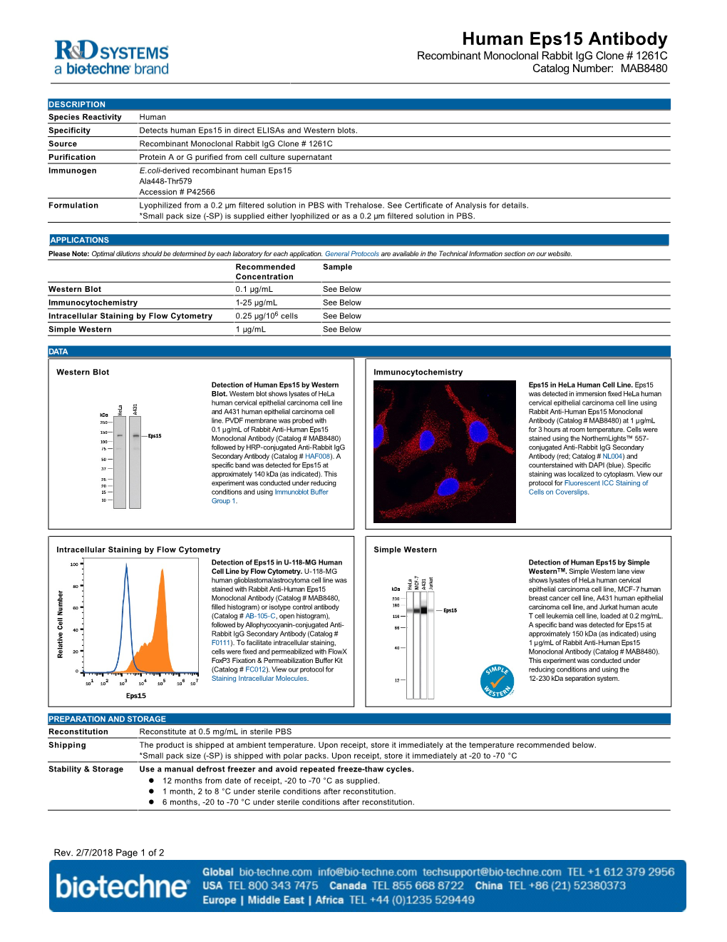 Human Eps15 Antibody Recombinant Monoclonal Rabbit Igg Clone # 1261C Catalog Number: MAB8480