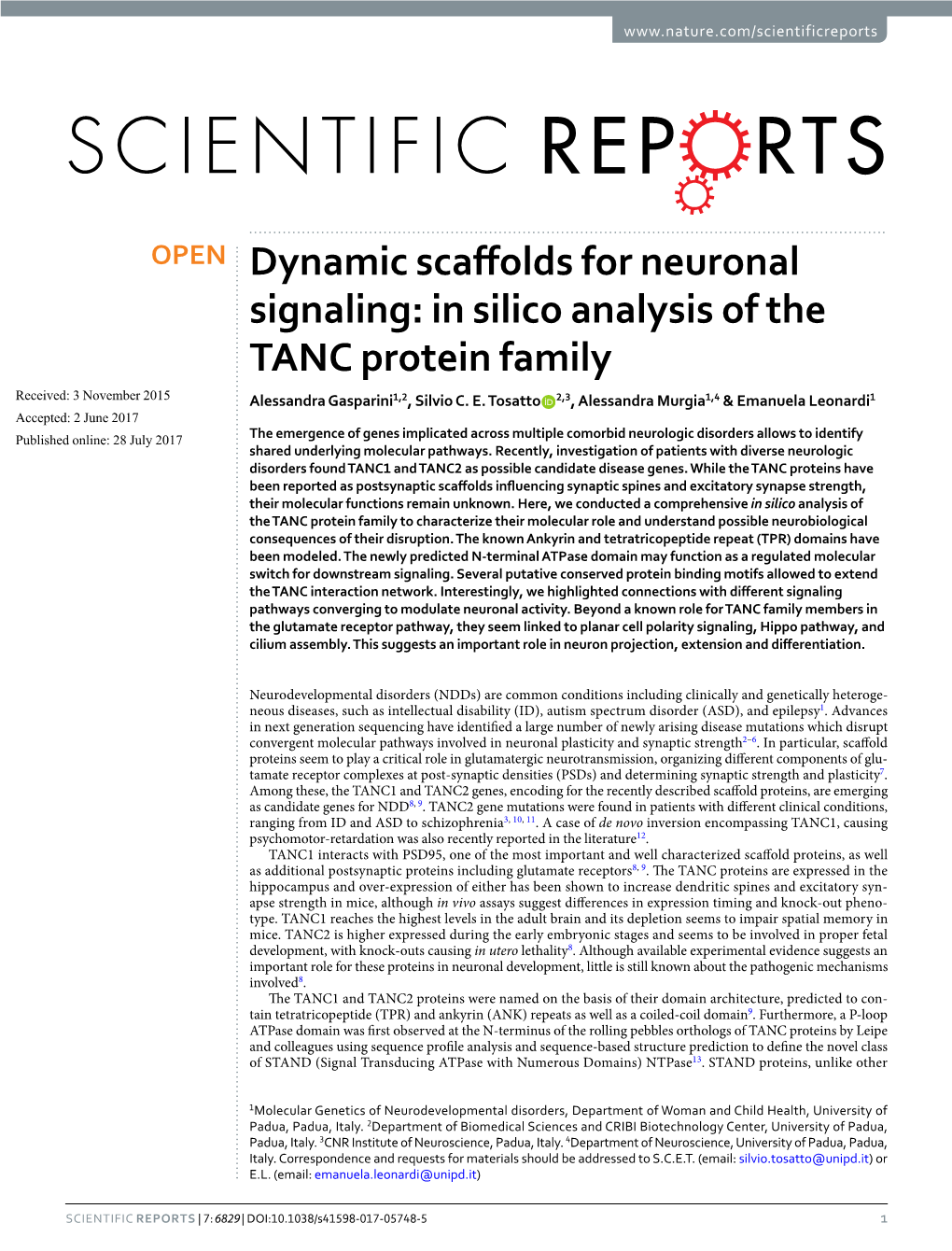 In Silico Analysis of the TANC Protein Family Received: 3 November 2015 Alessandra Gasparini1,2, Silvio C
