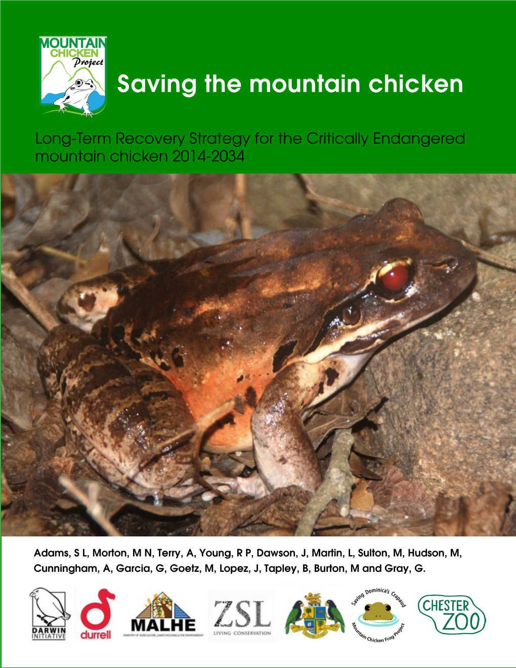 Saving the Mountain Chicken