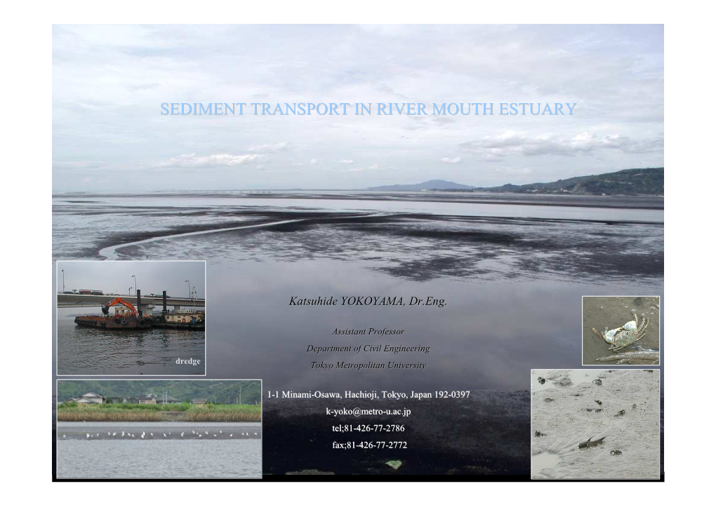 Sediment Transport in River Mouth Estuary