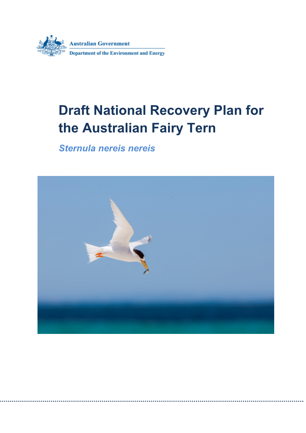 Draft National Recovery Plan for the Australian Fairy Tern Sternula Nereis Nereis