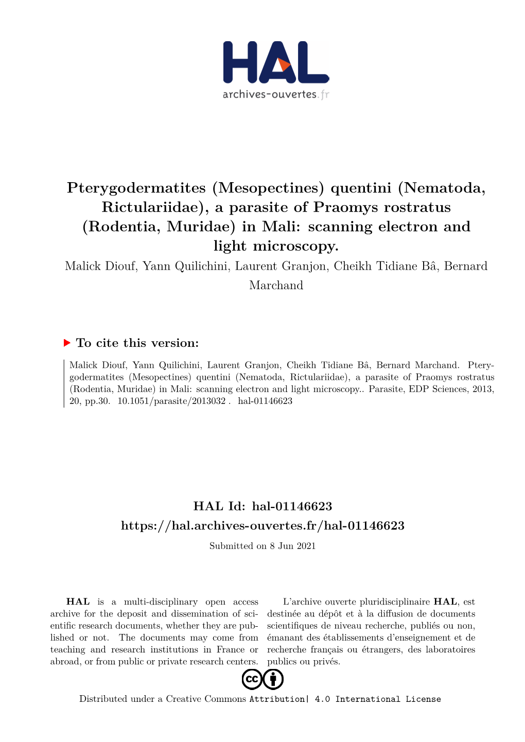 Pterygodermatites (Mesopectines) Quentini (Nematoda, Rictulariidae