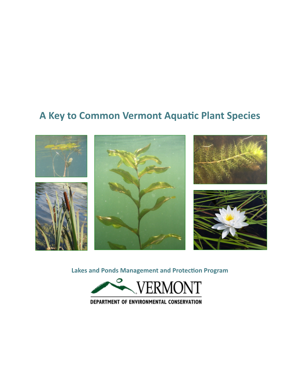 A Key to Common Vermont Aquatic Plant Species