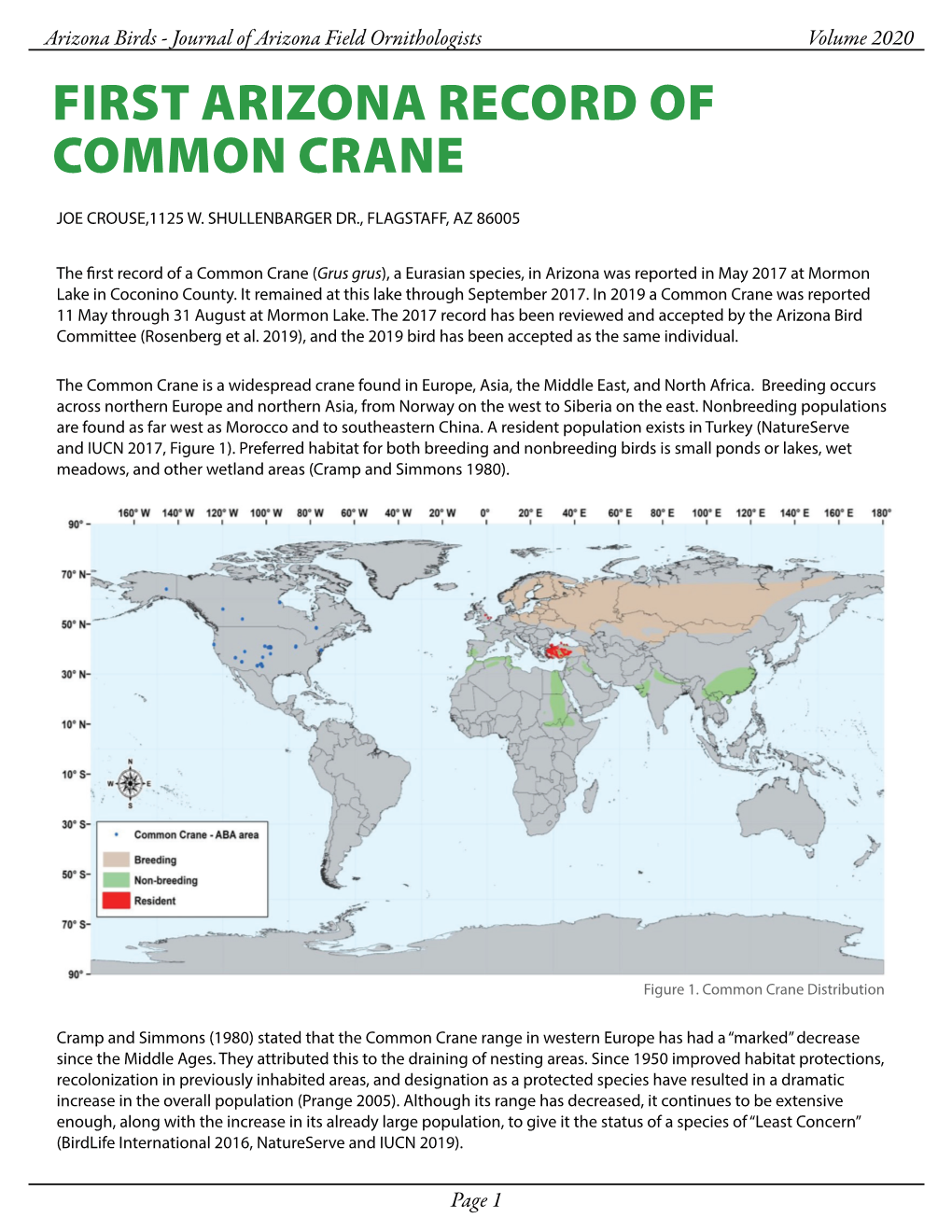 First Arizona Record of Common Crane