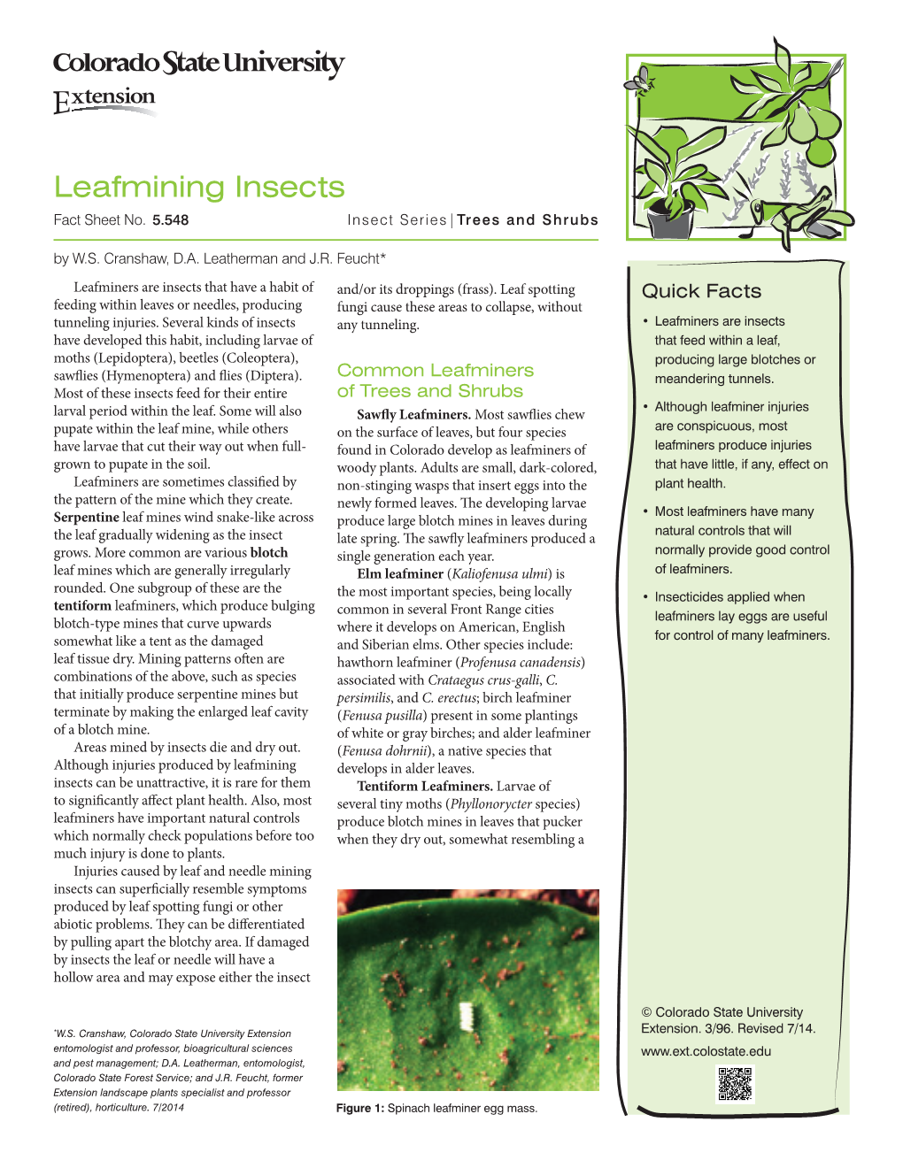 Leafmining Insects Fact Sheet No