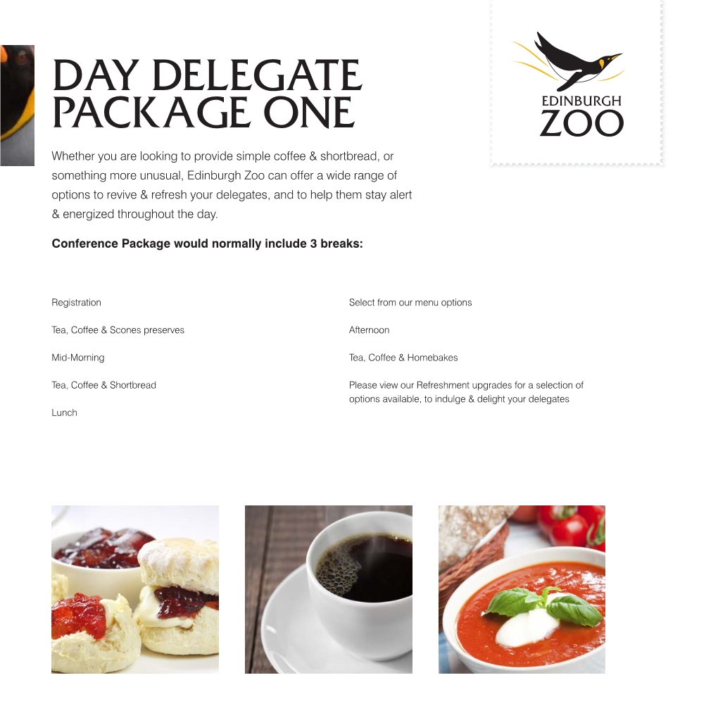 Day Delegate Package