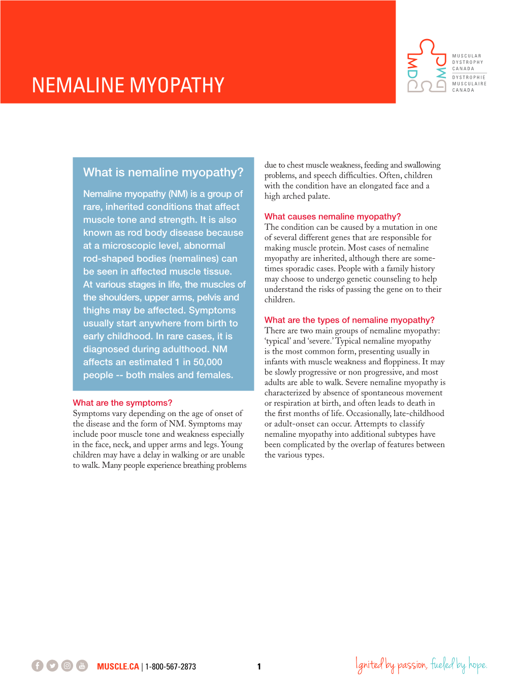 Nemaline MYOPATHY Myopathy