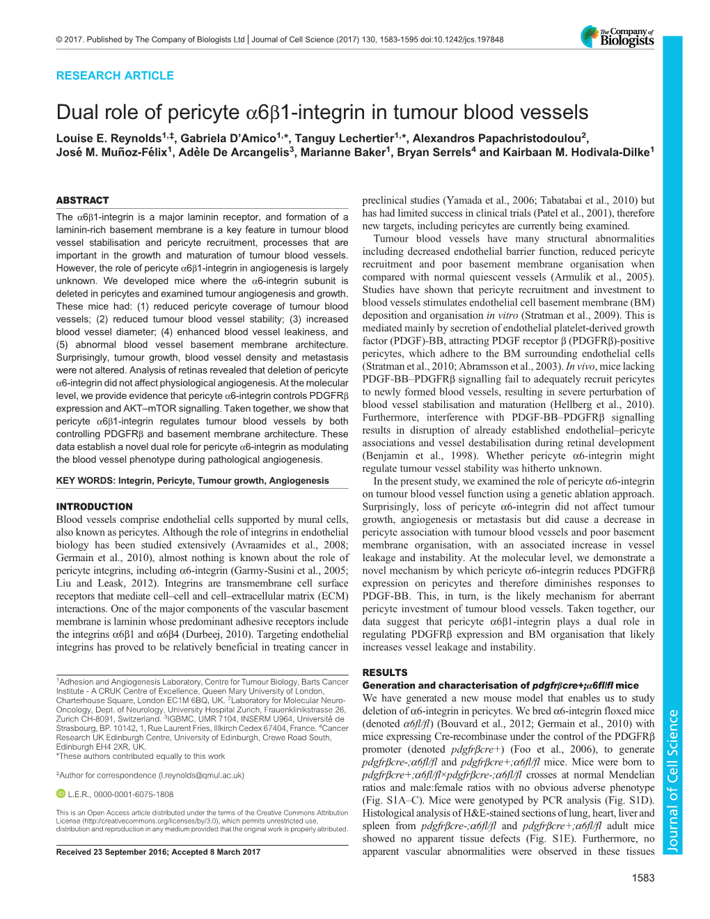 Dual Role of Pericyte Α6β1-Integrin in Tumour Blood Vessels Louise E