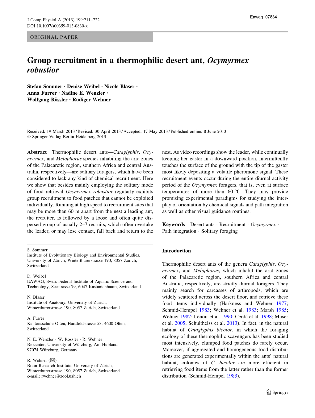 Group Recruitment in a Thermophilic Desert Ant, Ocymyrmex Robustior