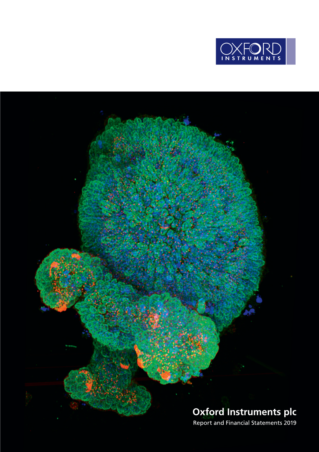 Oxford Instruments Plc Report and Financial Statements 2019
