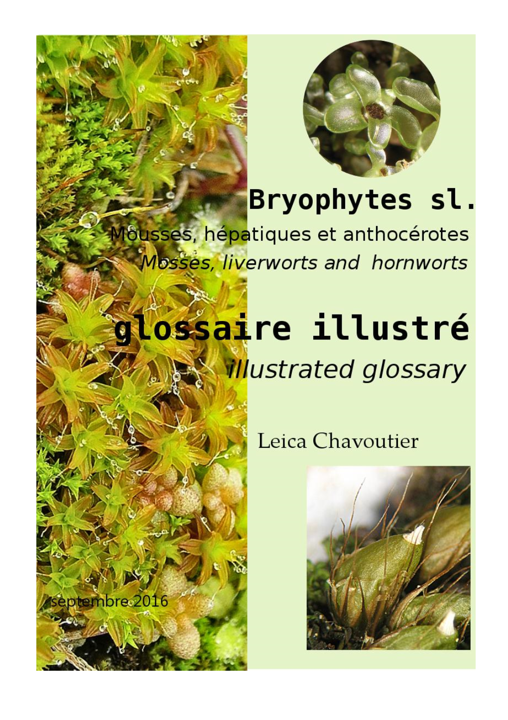 Bryophytes Sl