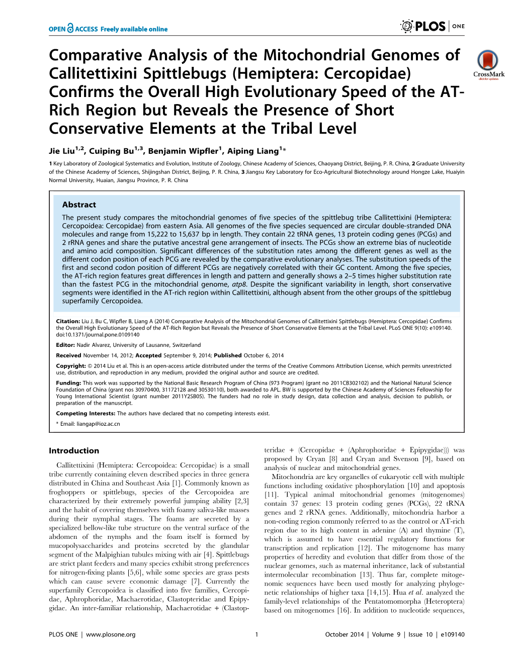 Comparative Analysis of the Mitochondrial Genomes Of