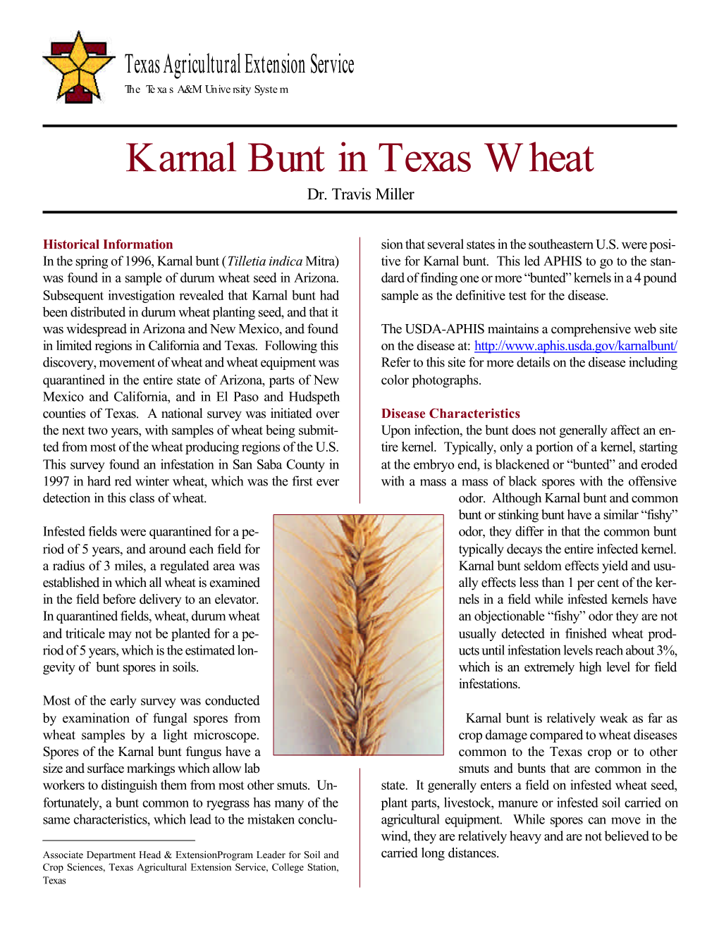 Karnal Bunt in Texas Wheat Dr