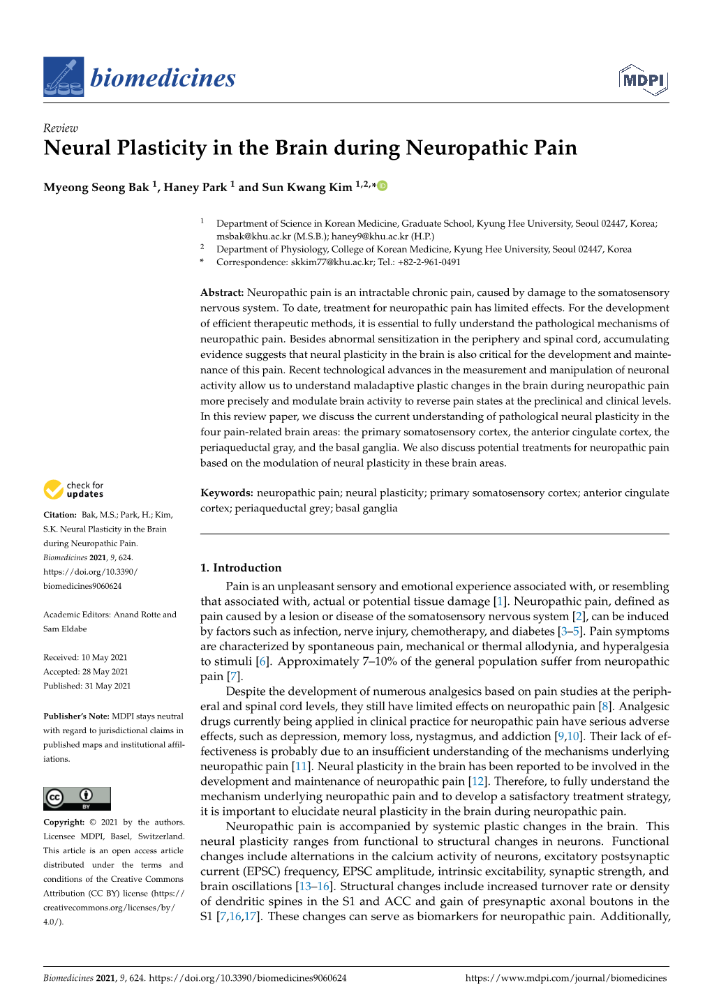 Neural Plasticity in the Brain During Neuropathic Pain