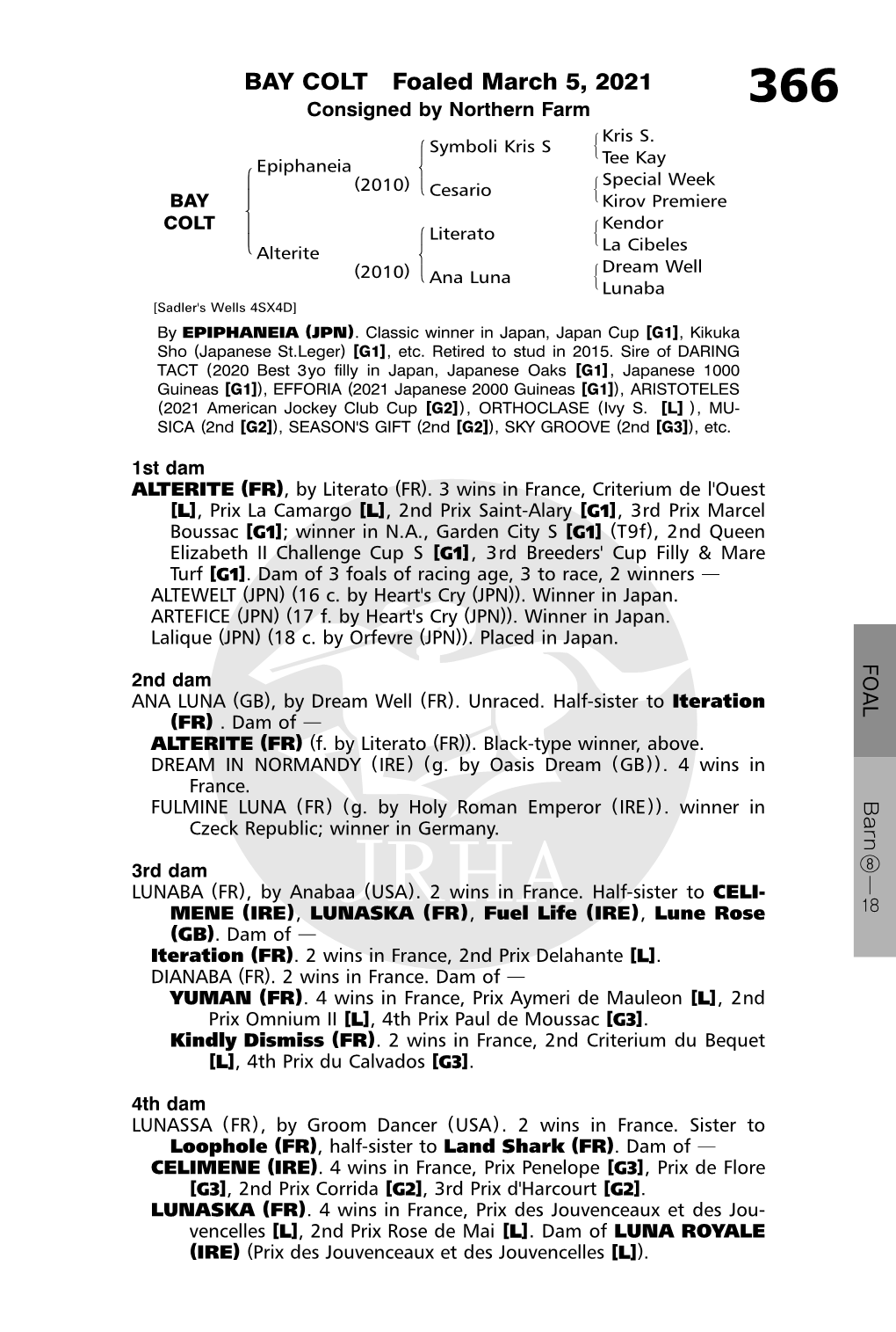 BAY COLT Foaled March 5, 2021 Consigned by Northern Farm 366 #Kris S