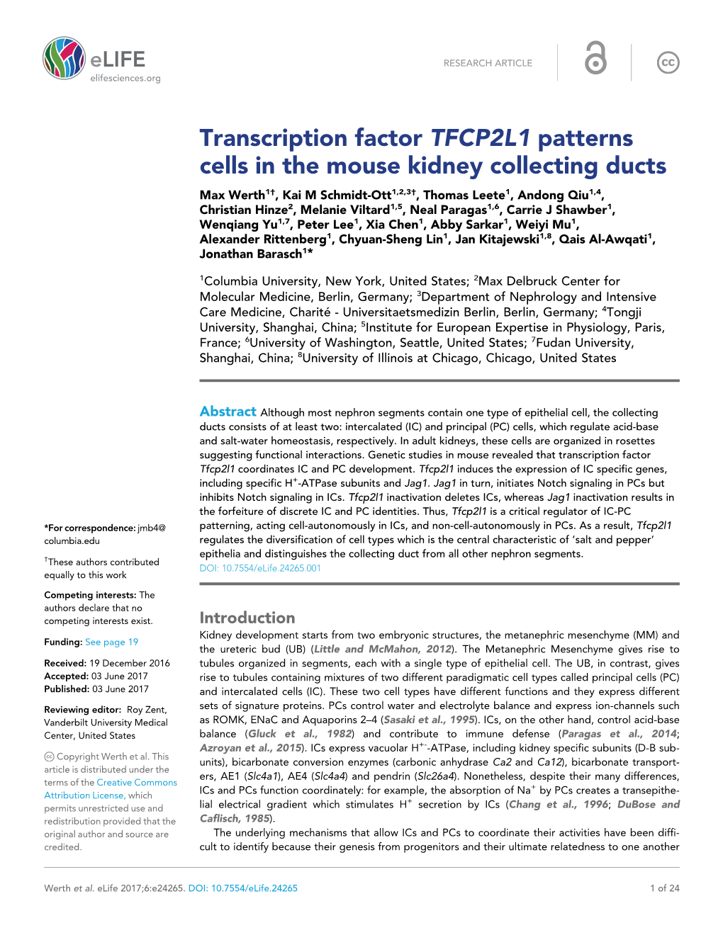 Transcription Factor TFCP2L1 Patterns Cells in the Mouse Kidney Collecting Ducts