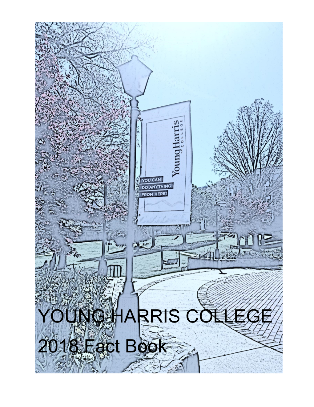 YOUNG HARRIS COLLEGE 2018 Fact Book 1 2018 FACT BOOK TABLE of CONTENTS