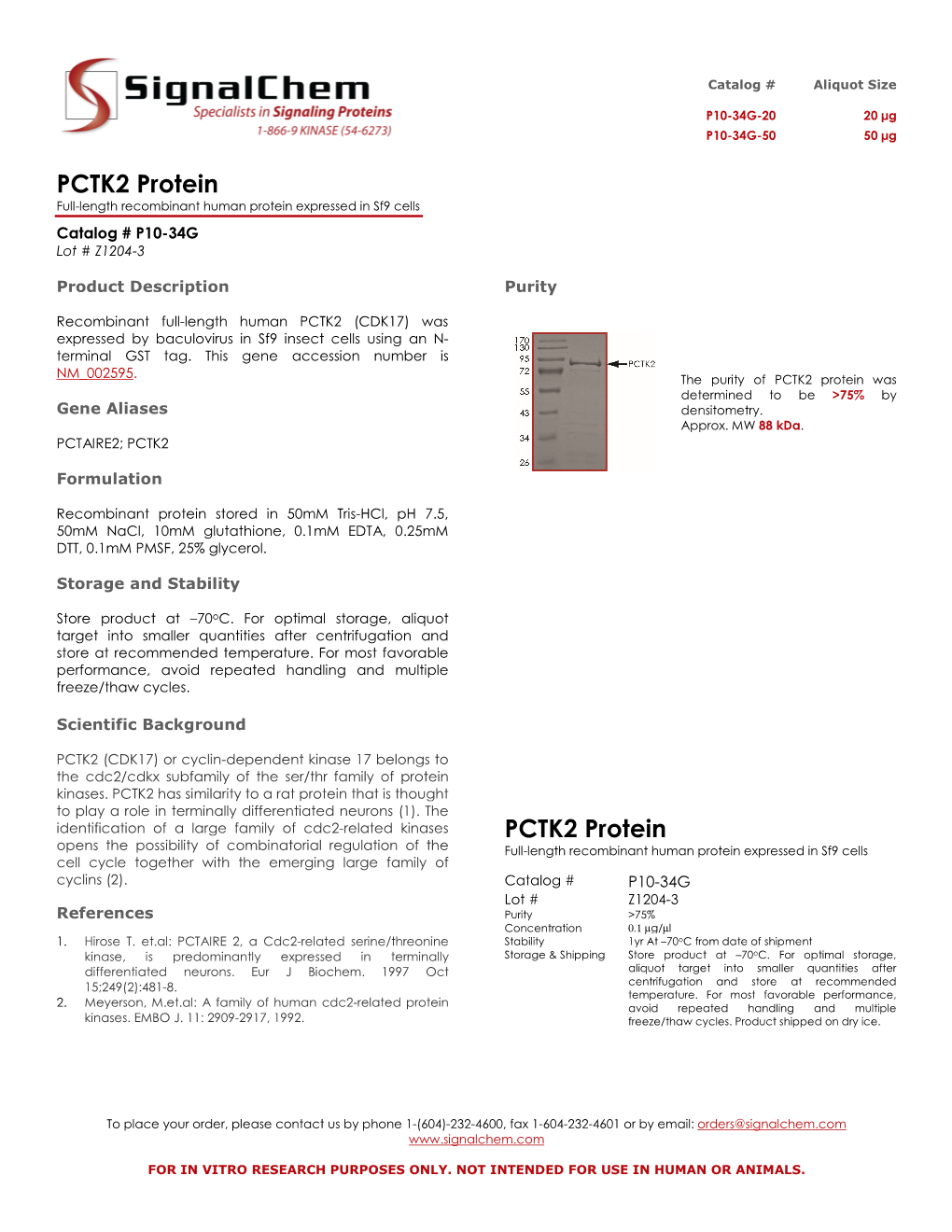 PCTK2 Protein Full-Length Recombinant Human Protein Expressed in Sf9 Cells