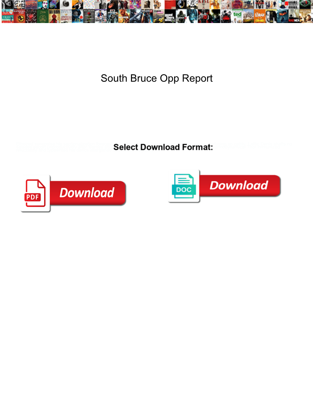South Bruce Opp Report