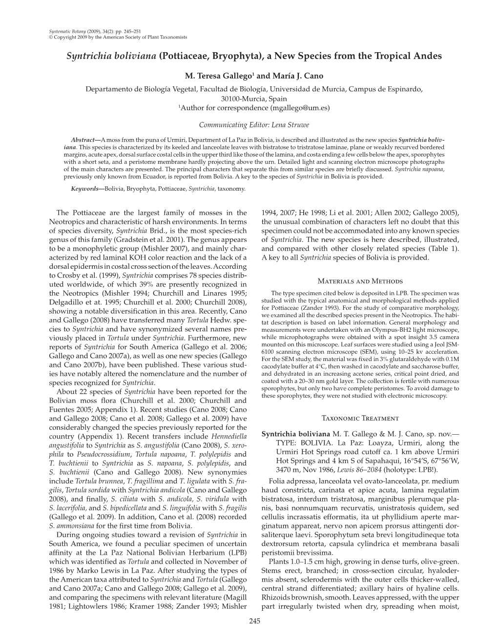 Syntrichia Boliviana (Pottiaceae, Bryophyta), a New Species from the Tropical Andes