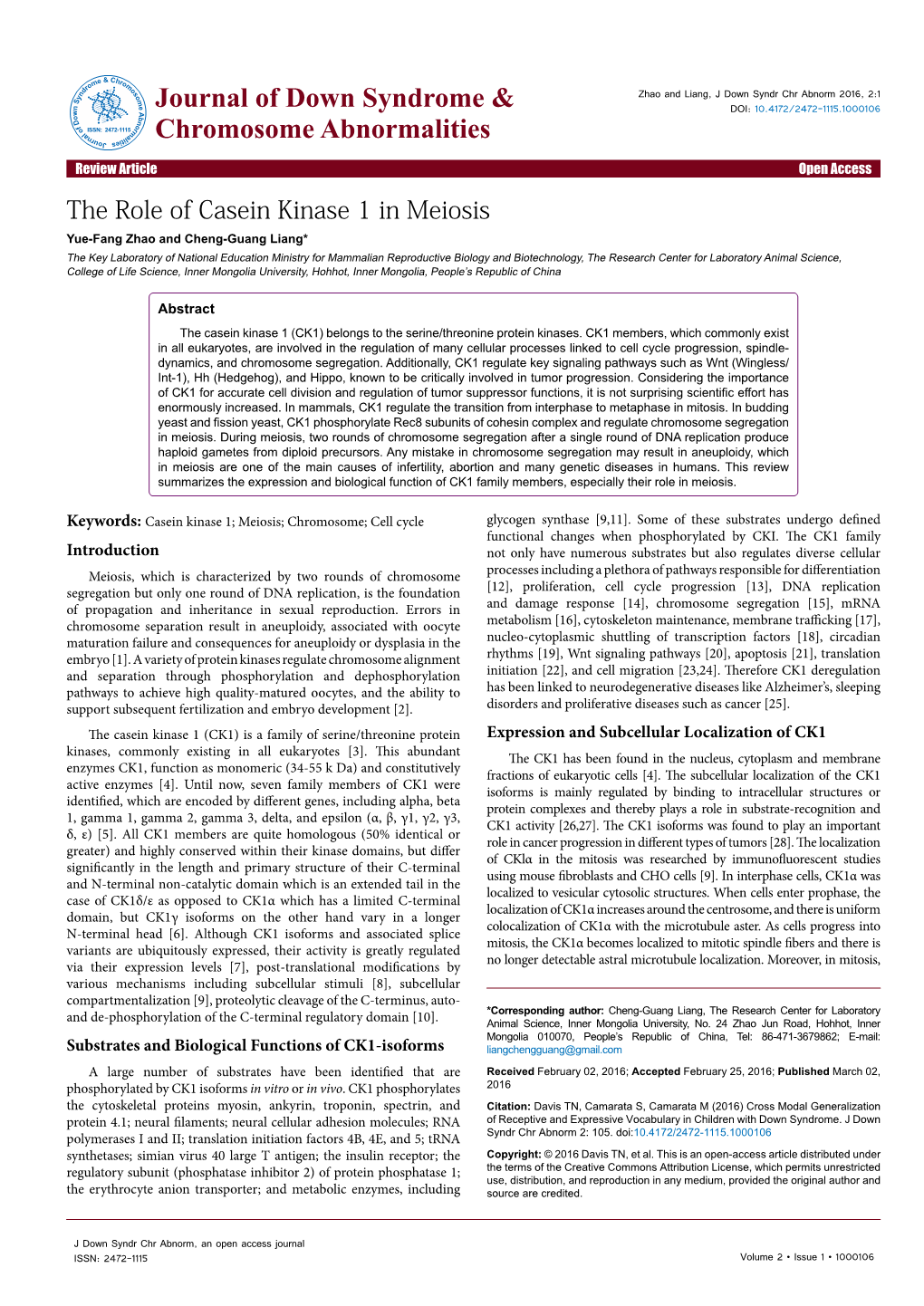 The Role of Casein Kinase 1 in Meiosis