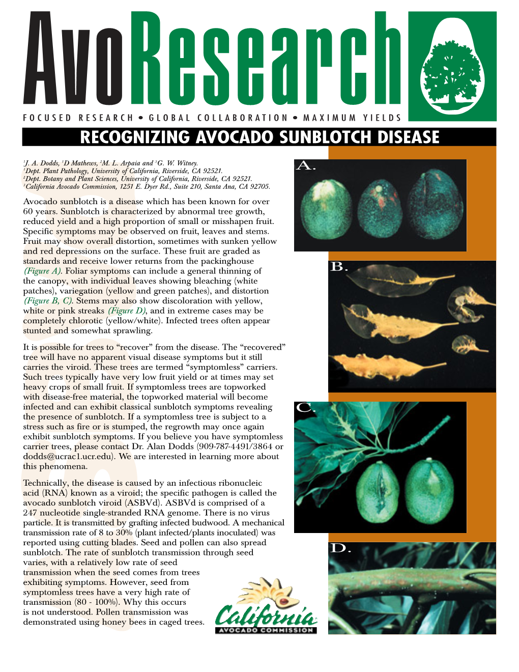 Recognizing Avocado Sunblotch Disease