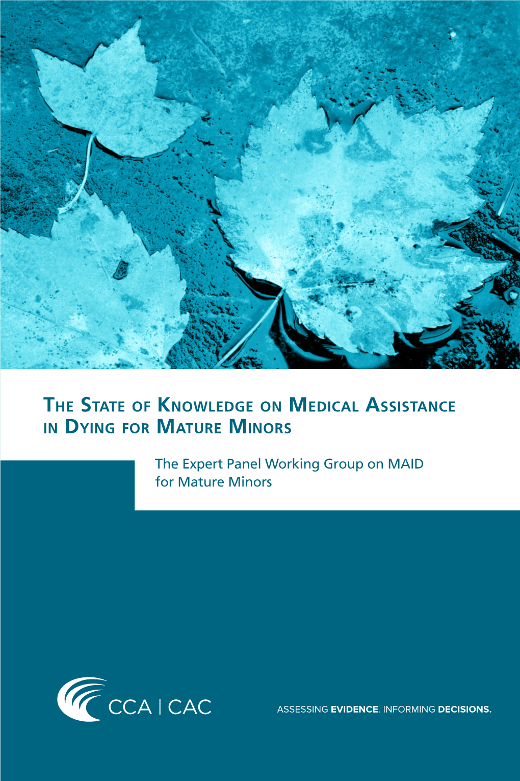 The State of Knowledge on Medical Assistance in Dying for Mature Minors