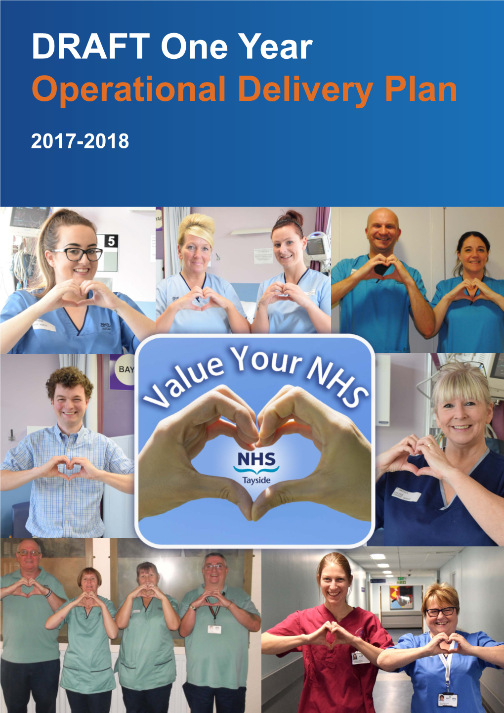 NHS Tayside's Draft One Year Operational Delivery Plan 2017-18