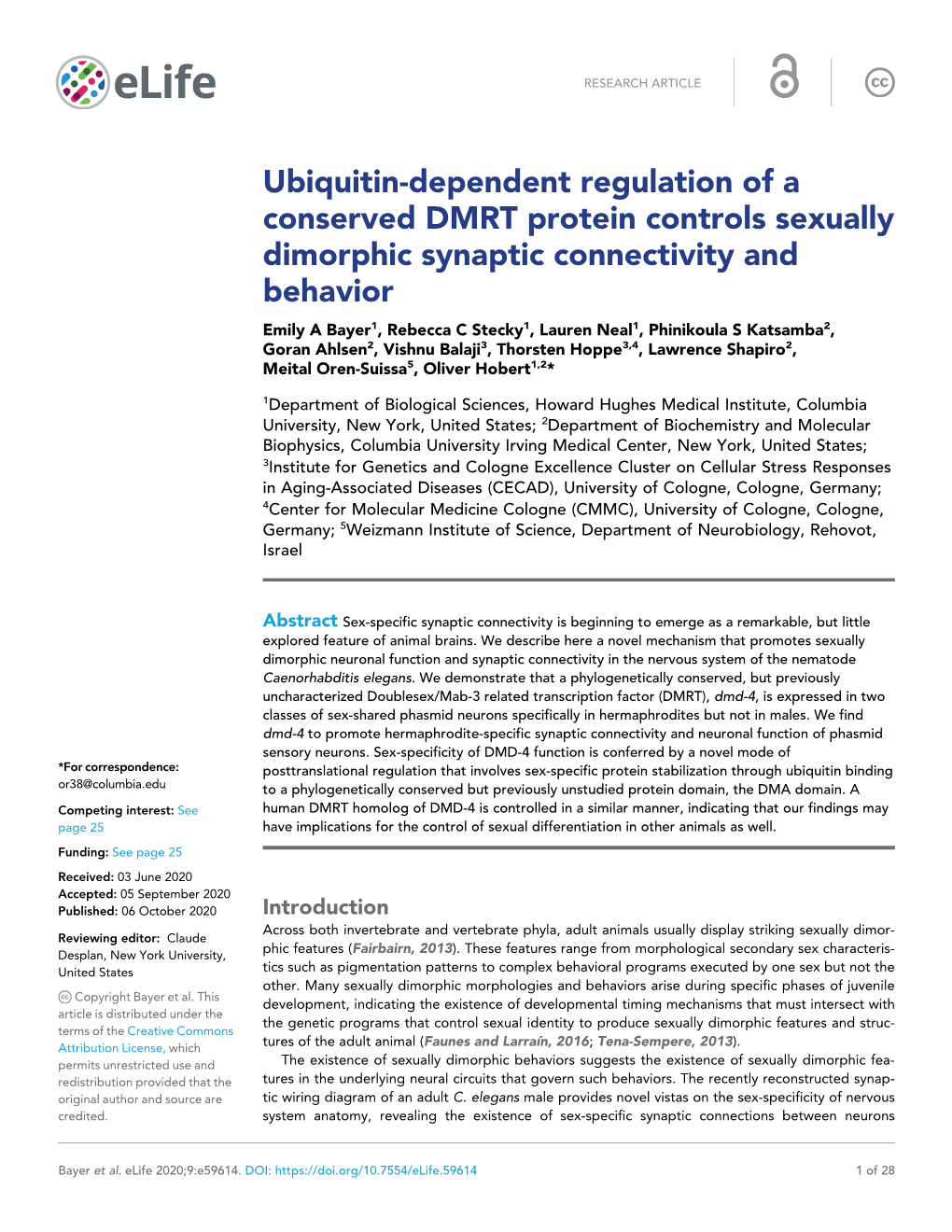 Ubiquitin-Dependent Regulation of a Conserved DMRT Protein Controls