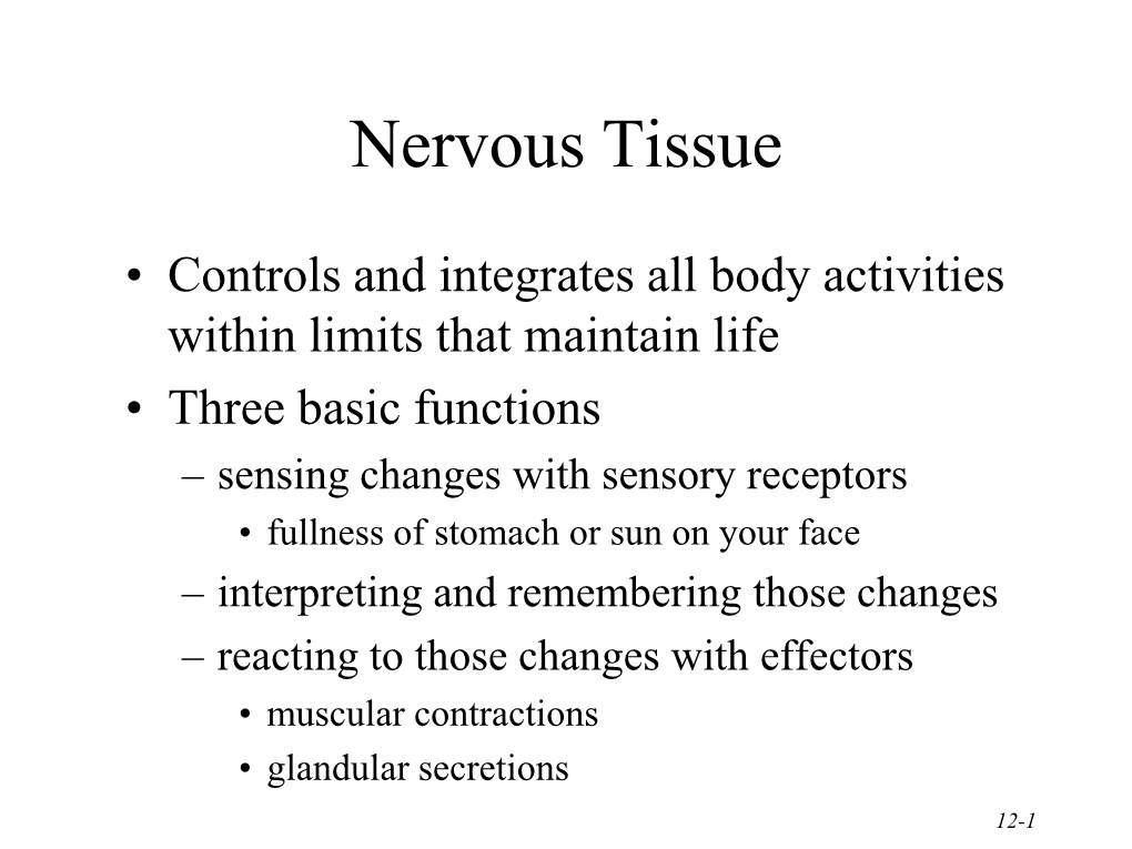 Nervous Tissue