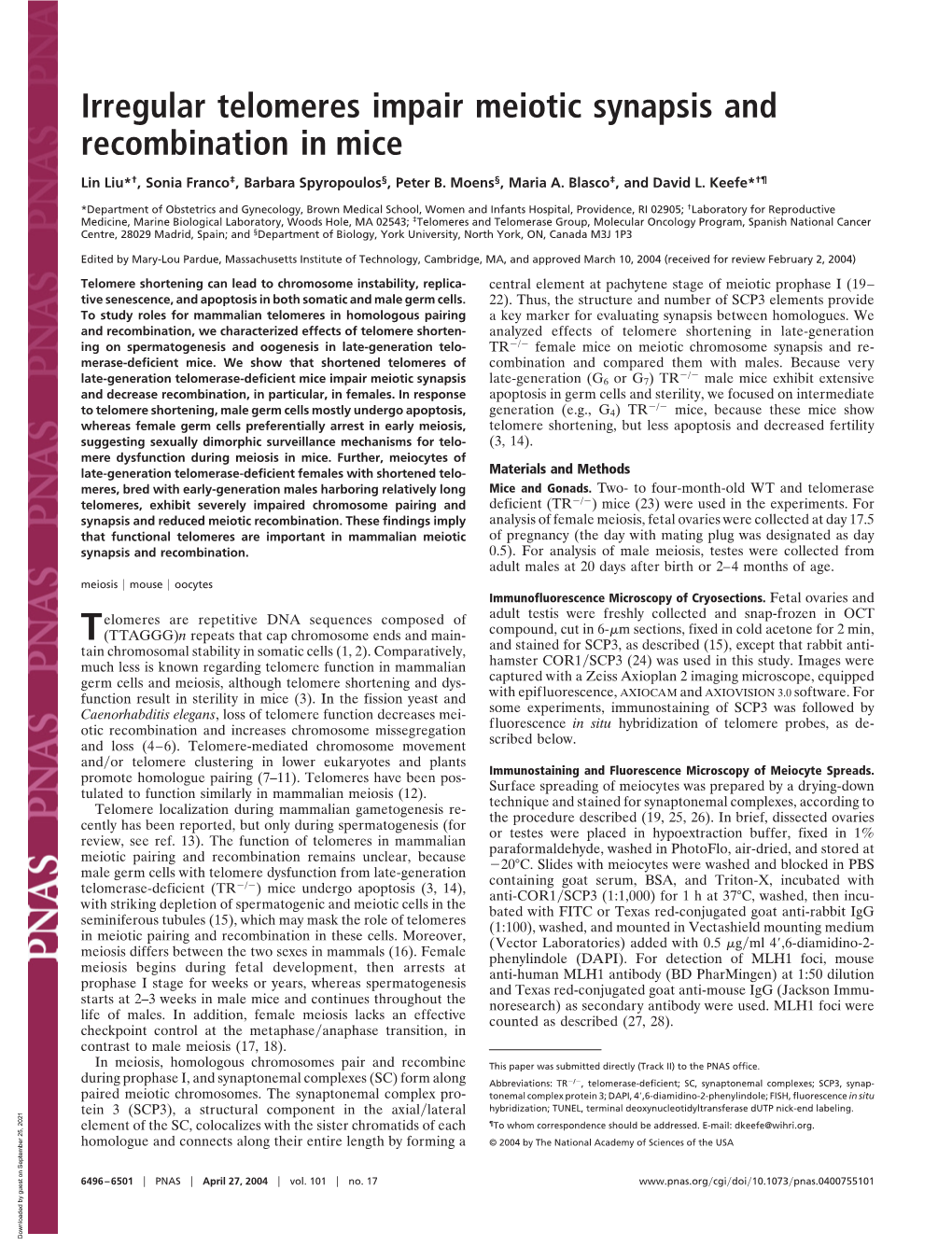 Irregular Telomeres Impair Meiotic Synapsis and Recombination in Mice