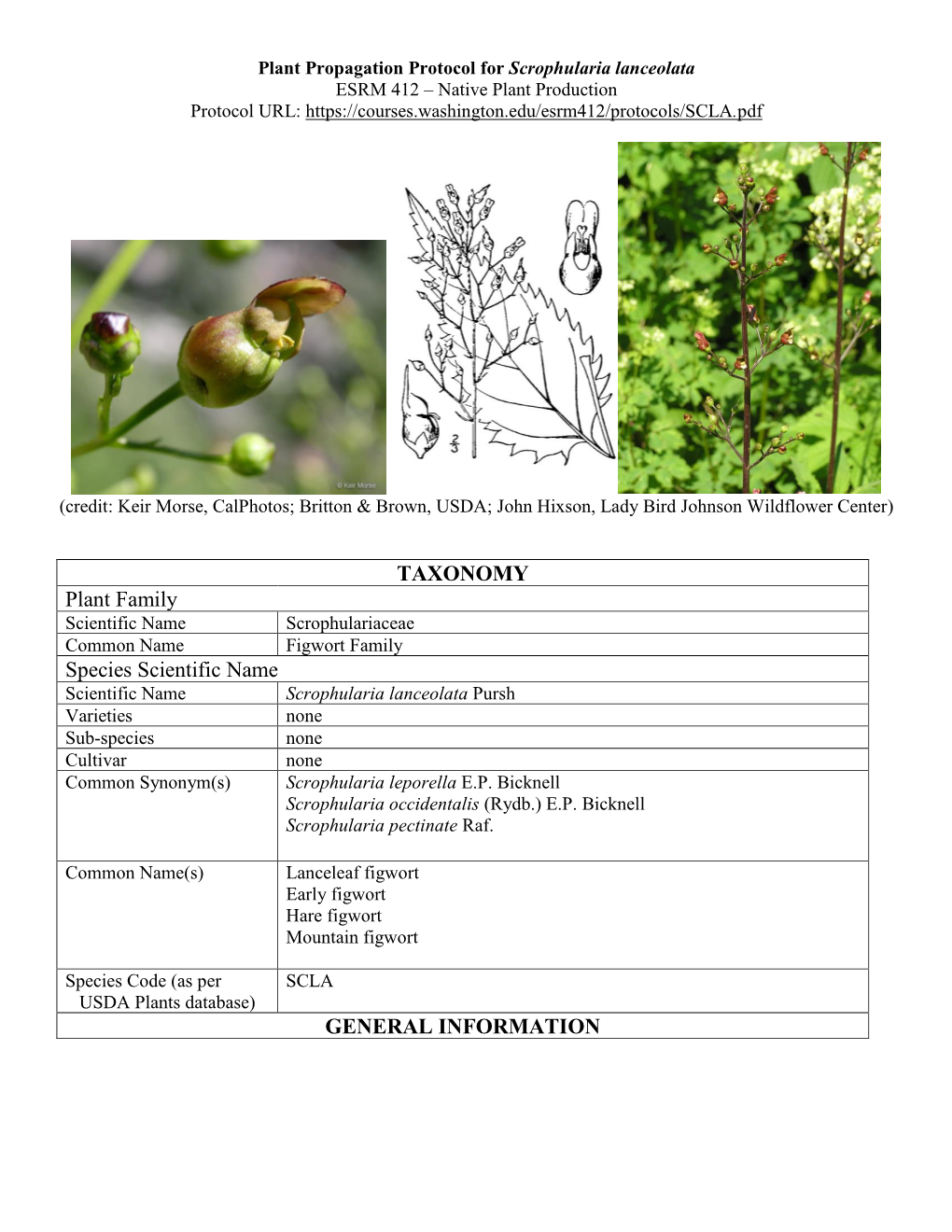 Draft Plant Propagation Protocol