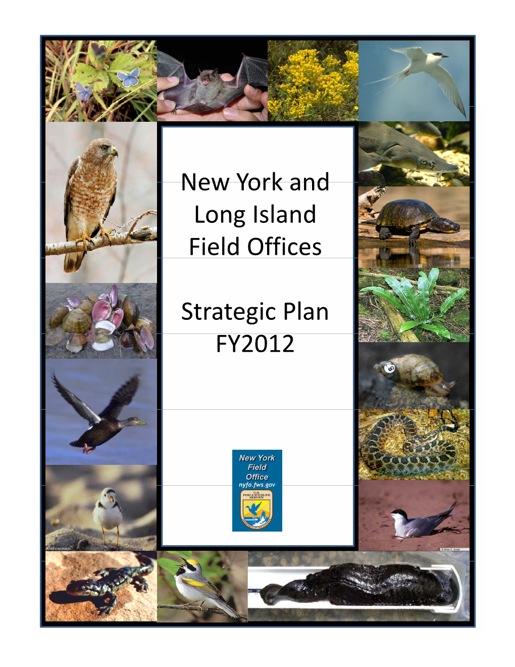 New York and New York and Long Island Field Offices Strategic Plan