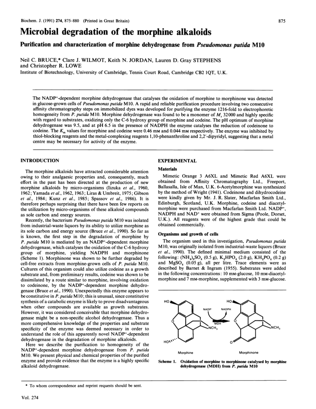 Microbial Degradation of the Morphine Alkaloids Purification and Characterization of Morphine Dehydrogenase from Pseudomonas Putida M10