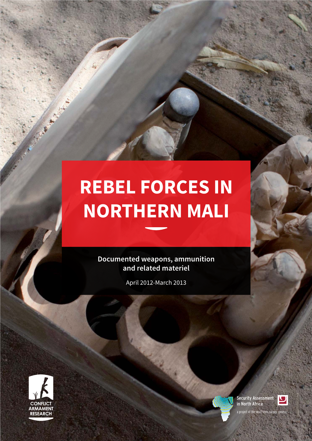 Rebel Forces in Northern Mali